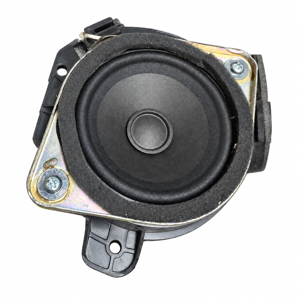 Single Ford door speaker, front view